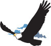 Codename Martial Eagle